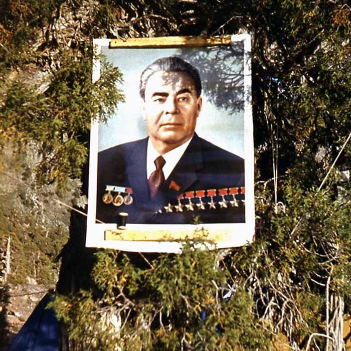 портрет Генерального секретаря ЦК КПСС Л.И. Брежнева